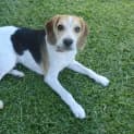 Photo of Murphy *On Trial In His New Home*