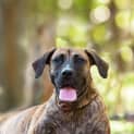 Photo of Remi * I'm Just $100! *