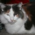 Photo of Little