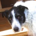 Photo of Fred