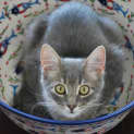 Photo of Amazing Grace