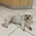 Photo of Roxy