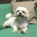 Photo of Roxy