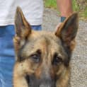 Photo of Talos