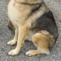 Photo of Talos