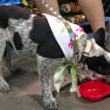 Photo of Onyx