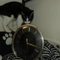 Photo of Mattie