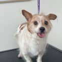 Photo of Chloe
