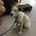 Photo of Gem *On Trial In Her New Home*