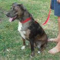 Photo of Daisy