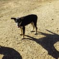 Photo of Buster