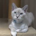 Photo of Sasha