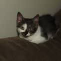 Photo of Shilo