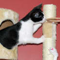 Photo of Turbo