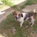 Photo of Sally