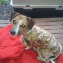 Photo of Sally