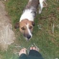 Photo of Sally