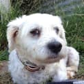 Photo of Sugar