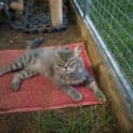 Photo of Fonzie