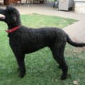 Photo of George *On Trial In His New Home*