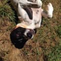 Photo of Macy
