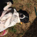 Photo of Macy
