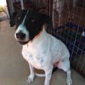 Photo of Macy