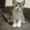 Photo of Sailor