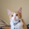 Photo of Archer