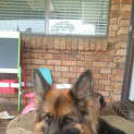 Photo of Leyla On Trial In Her New Home