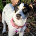 Photo of Maggie
