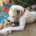 Photo of Darcey