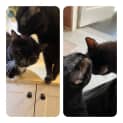 Photo of Cleo And William