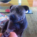 Photo of Molly