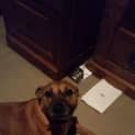 Photo of Betty Boo
