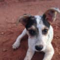 Photo of Susy