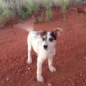 Photo of Susy