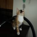 Photo of Mystique
