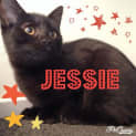 Photo of Jessie