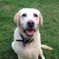 Photo of Xena ~ On Trial 17/4/15