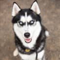 Photo of Storm