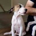 Photo of Nismo *On Trial In His New Home*