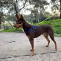 Photo of Bonny