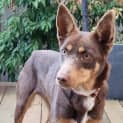 Photo of Bonny