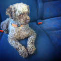 Photo of ** No More Applications Please** Kenzie