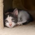Photo of Annabelle