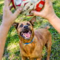 Photo of Jack ~ #1405728