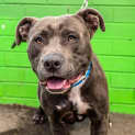 Photo of Buster ~ #1500585