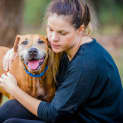 Photo of Harley ~ #1500996
