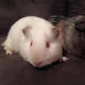Photo of Conrad And Oakley